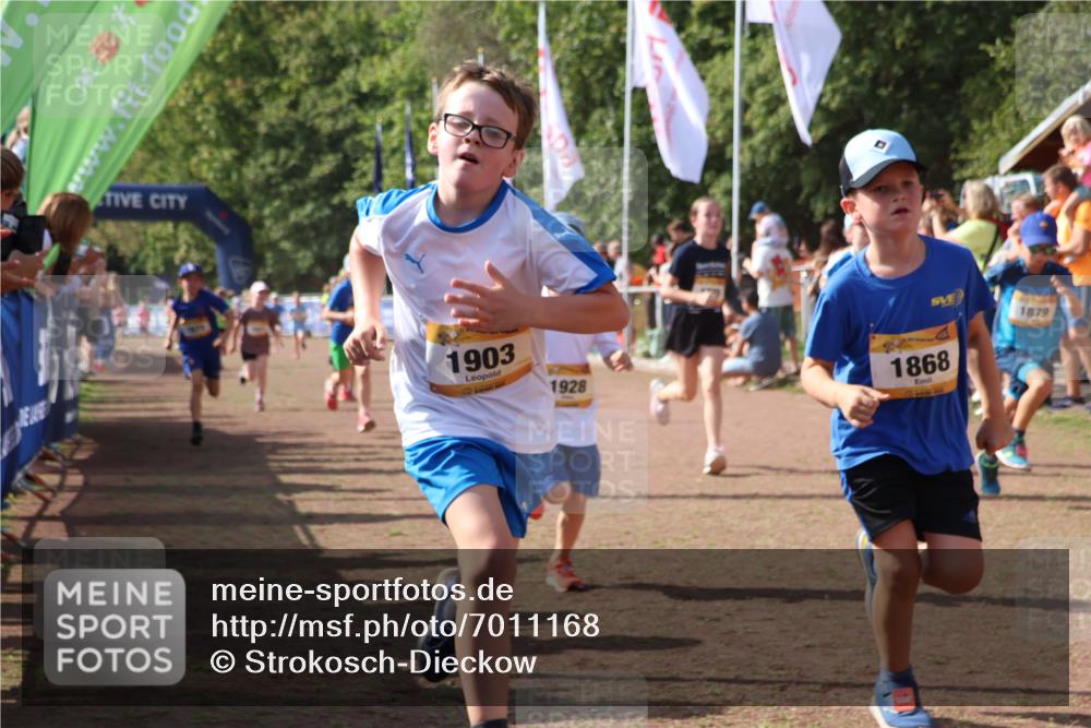 08.09.2024 - Airport Race Strokosch-Dieckow http://msf.ph/oto/7011168 08.09.2024 11:29:54 Ziel 1617, 1638, 1673, 1712, 1720, 1775, 1810, 1814, 1837, 1841, 1842, 1851, 1868, 1879, 1903, 1925, 1928, 3409 meine-sportfotos.de