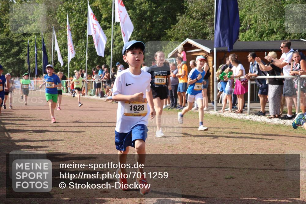 08.09.2024 - Airport Race Strokosch-Dieckow http://msf.ph/oto/7011259 08.09.2024 11:29:55 Ziel 1617, 1638, 1673, 1712, 1720, 1775, 1810, 1814, 1837, 1841, 1851, 1861, 1863, 1868, 1879, 1903, 1925, 1928, 3409 meine-sportfotos.de