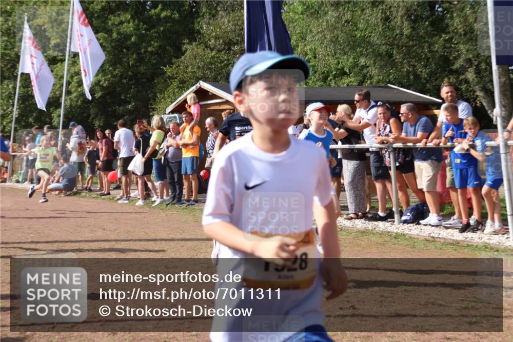 08.09.2024 - Airport Race Strokosch-Dieckow http://msf.ph/oto/7011311 08.09.2024 11:29:55 Ziel 1617, 1638, 1673, 1712, 1720, 1775, 1810, 1814, 1837, 1841, 1851, 1861, 1863, 1868, 1879, 1903, 1925, 1928, 3409 meine-sportfotos.de