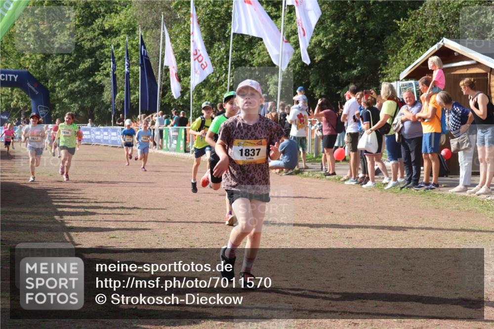 08.09.2024 - Airport Race Strokosch-Dieckow http://msf.ph/oto/7011570 08.09.2024 11:29:59 Ziel 1614, 1617, 1638, 1672, 1775, 1810, 1814, 1837, 1851, 1861, 1863, 3406, 3409, 3453 meine-sportfotos.de