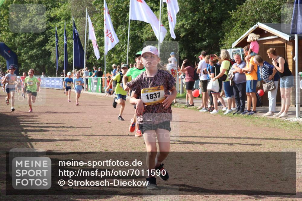 08.09.2024 - Airport Race Strokosch-Dieckow http://msf.ph/oto/7011590 08.09.2024 11:29:59 Ziel 1614, 1617, 1638, 1672, 1775, 1810, 1814, 1837, 1851, 1861, 1863, 3406, 3409, 3453 meine-sportfotos.de