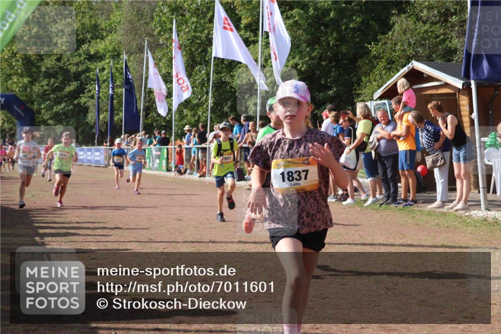 08.09.2024 - Airport Race Strokosch-Dieckow http://msf.ph/oto/7011601 08.09.2024 11:29:59 Ziel 1614, 1617, 1638, 1672, 1775, 1810, 1814, 1837, 1851, 1861, 1863, 3406, 3409, 3453 meine-sportfotos.de