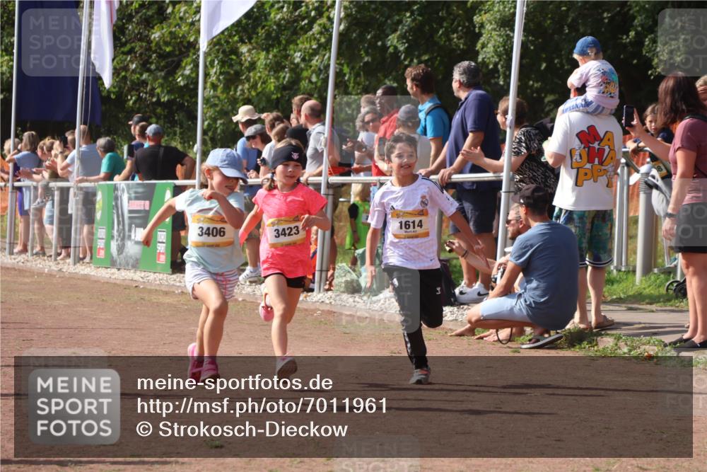 08.09.2024 - Airport Race Strokosch-Dieckow http://msf.ph/oto/7011961 08.09.2024 11:30:06 Ziel 1614, 1672, 1743, 1861, 1863, 1906, 1930, 3406, 3412, 3423, 3453 meine-sportfotos.de