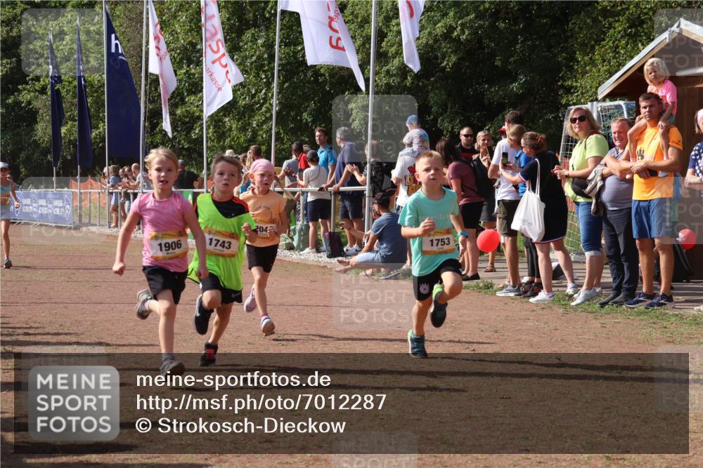 08.09.2024 - Airport Race Strokosch-Dieckow http://msf.ph/oto/7012287 08.09.2024 11:30:11 Ziel 1614, 1743, 1906, 1930, 3406, 3412, 3423, 3447, 3448, 3453 meine-sportfotos.de