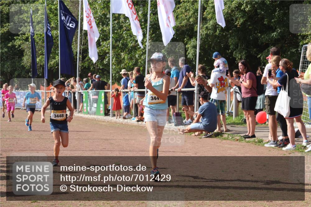 08.09.2024 - Airport Race Strokosch-Dieckow http://msf.ph/oto/7012429 08.09.2024 11:30:15 Ziel 1682, 1743, 1805, 1906, 3424, 3447, 3448, 3449 meine-sportfotos.de