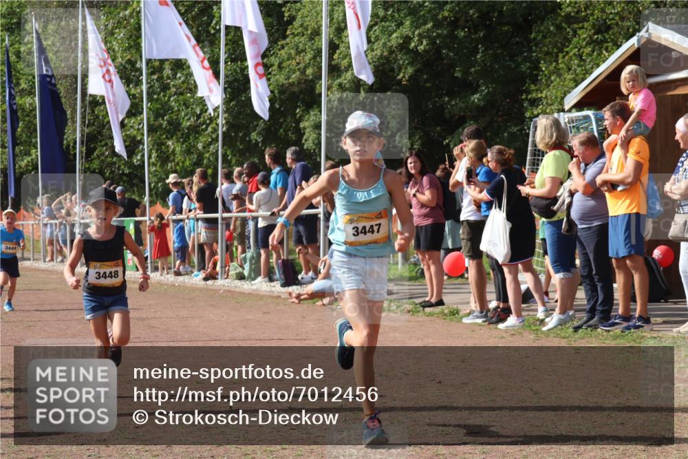 08.09.2024 - Airport Race Strokosch-Dieckow http://msf.ph/oto/7012456 08.09.2024 11:30:16 Ziel 1677, 1682, 1684, 1805, 1816, 1906, 3424, 3445, 3447, 3448, 3449 meine-sportfotos.de