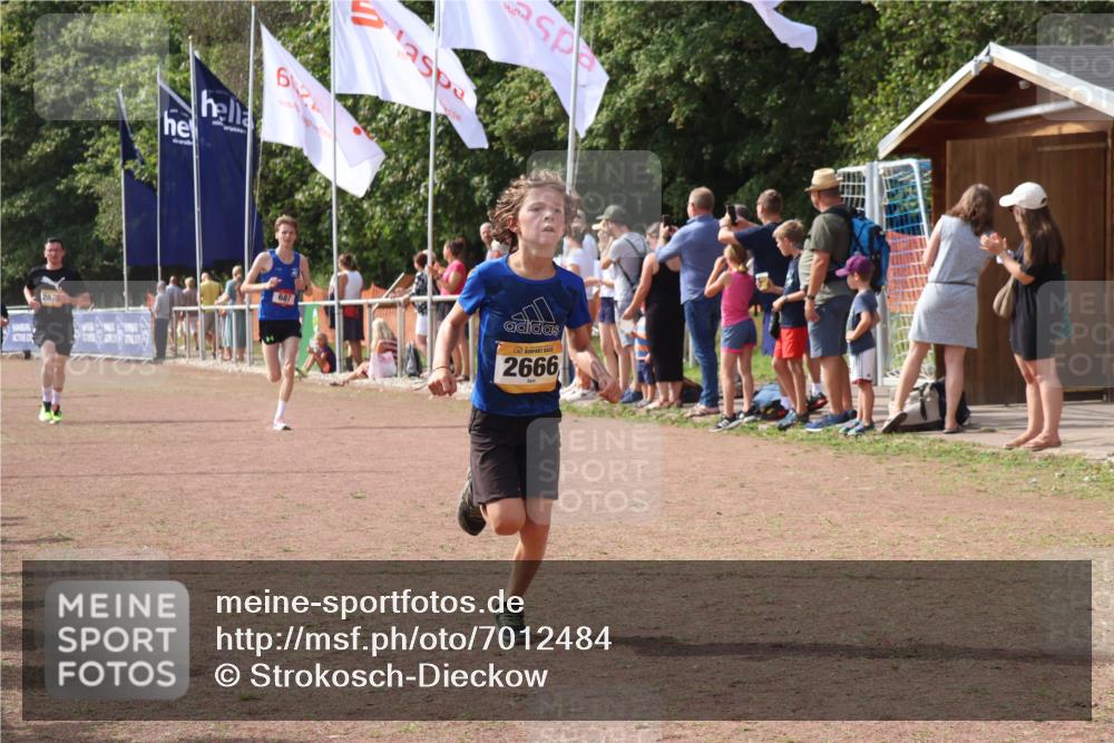 08.09.2024 - Airport Race Strokosch-Dieckow http://msf.ph/oto/7012484 08.09.2024 12:04:45 Ziel 687, 2666, 2845, 2857 meine-sportfotos.de