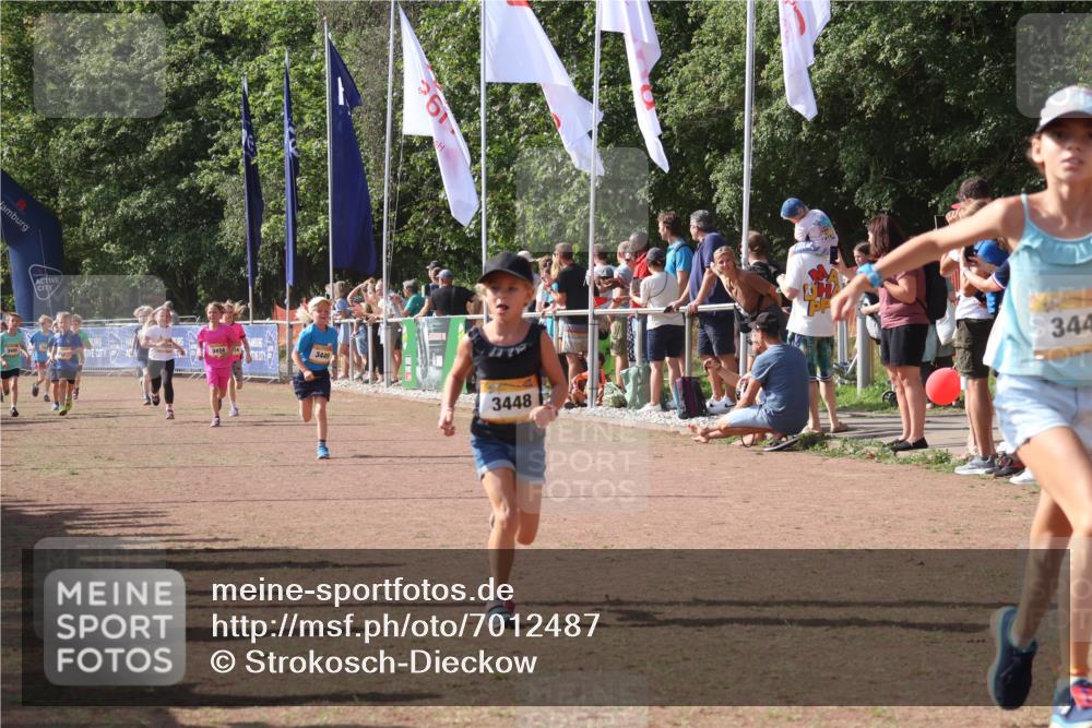 08.09.2024 - Airport Race Strokosch-Dieckow http://msf.ph/oto/7012487 08.09.2024 11:30:16 Ziel 1677, 1682, 1684, 1805, 1816, 1906, 3424, 3445, 3447, 3448, 3449 meine-sportfotos.de