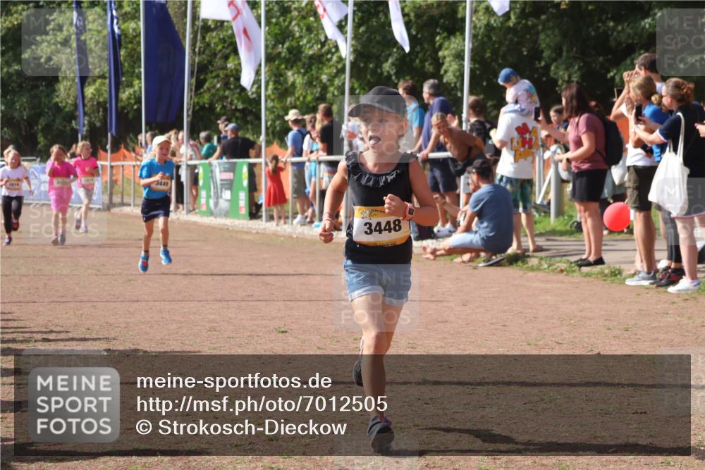 08.09.2024 - Airport Race Strokosch-Dieckow http://msf.ph/oto/7012505 08.09.2024 11:30:17 Ziel 1677, 1682, 1684, 1754, 1805, 1816, 3424, 3445, 3447, 3448, 3449 meine-sportfotos.de