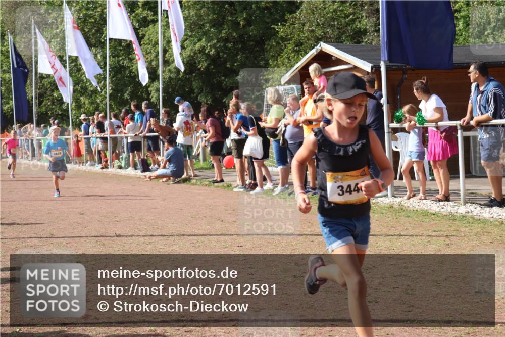 08.09.2024 - Airport Race Strokosch-Dieckow http://msf.ph/oto/7012591 08.09.2024 11:30:18 Ziel 1677, 1682, 1684, 1695, 1754, 1805, 1816, 1936, 3424, 3445, 3447, 3448, 3449 meine-sportfotos.de