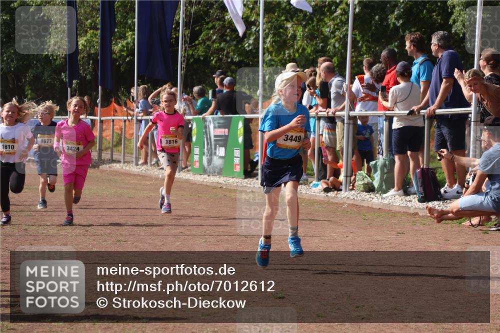 08.09.2024 - Airport Race Strokosch-Dieckow http://msf.ph/oto/7012612 08.09.2024 11:30:19 Ziel 1677, 1682, 1684, 1695, 1754, 1805, 1816, 1936, 3424, 3445, 3447, 3448, 3449 meine-sportfotos.de