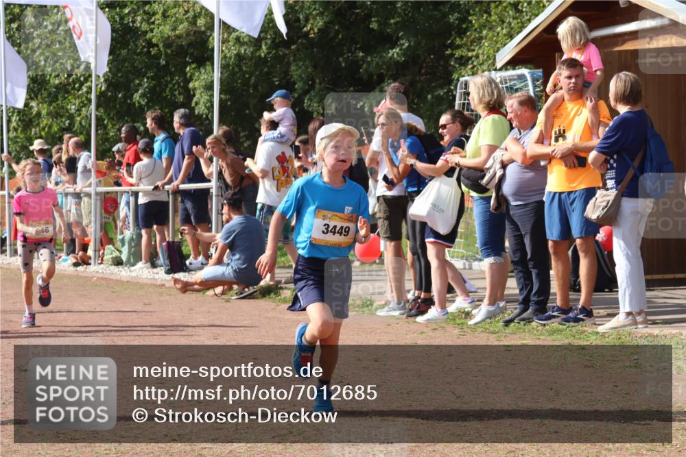 08.09.2024 - Airport Race Strokosch-Dieckow http://msf.ph/oto/7012685 08.09.2024 11:30:21 Ziel 1661, 1677, 1682, 1684, 1695, 1754, 1758, 1795, 1805, 1816, 1936, 3424, 3445, 3448, 3449 meine-sportfotos.de