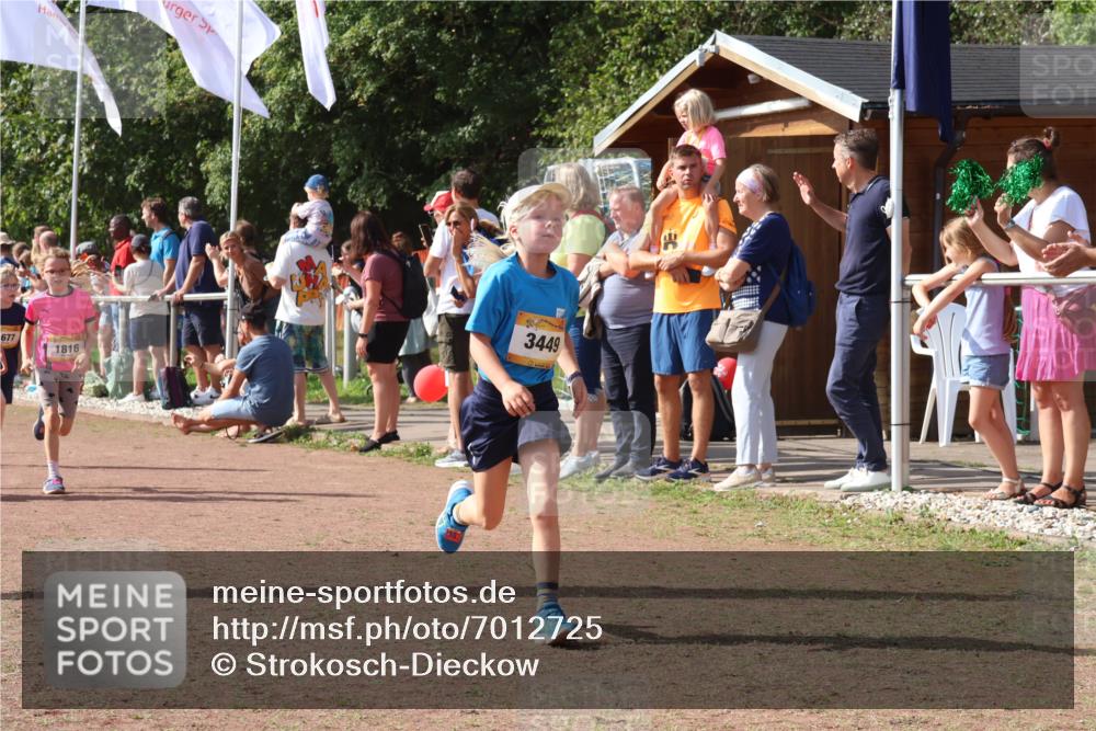 08.09.2024 - Airport Race Strokosch-Dieckow http://msf.ph/oto/7012725 08.09.2024 11:30:22 Ziel 1661, 1677, 1682, 1684, 1689, 1691, 1695, 1754, 1758, 1795, 1805, 1816, 1936, 3424, 3445, 3449 meine-sportfotos.de