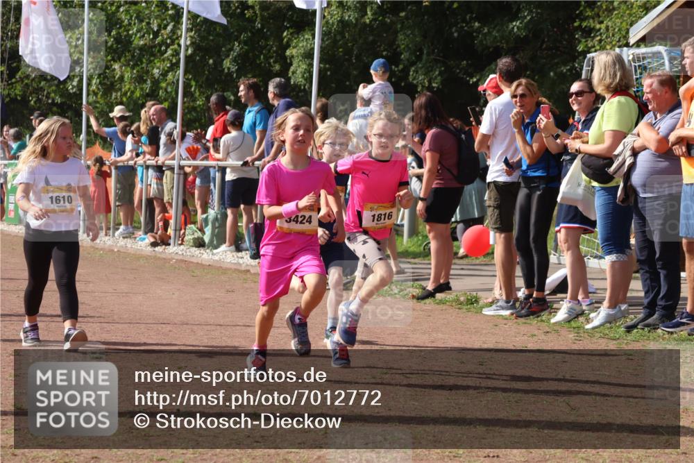 08.09.2024 - Airport Race Strokosch-Dieckow http://msf.ph/oto/7012772 08.09.2024 11:30:23 Ziel 1610, 1661, 1677, 1682, 1684, 1689, 1691, 1695, 1725, 1754, 1756, 1758, 1795, 1805, 1816, 1936, 3424, 3445, 3449 meine-sportfotos.de