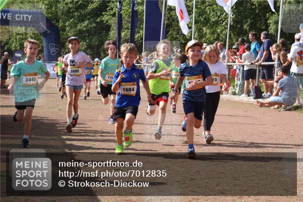 08.09.2024 - Airport Race Strokosch-Dieckow http://msf.ph/oto/7012835 08.09.2024 11:30:24 Ziel 1610, 1661, 1677, 1682, 1684, 1689, 1691, 1695, 1725, 1754, 1756, 1758, 1774, 1794, 1795, 1805, 1816, 1901, 1936, 3424, 3445, 3449 meine-sportfotos.de