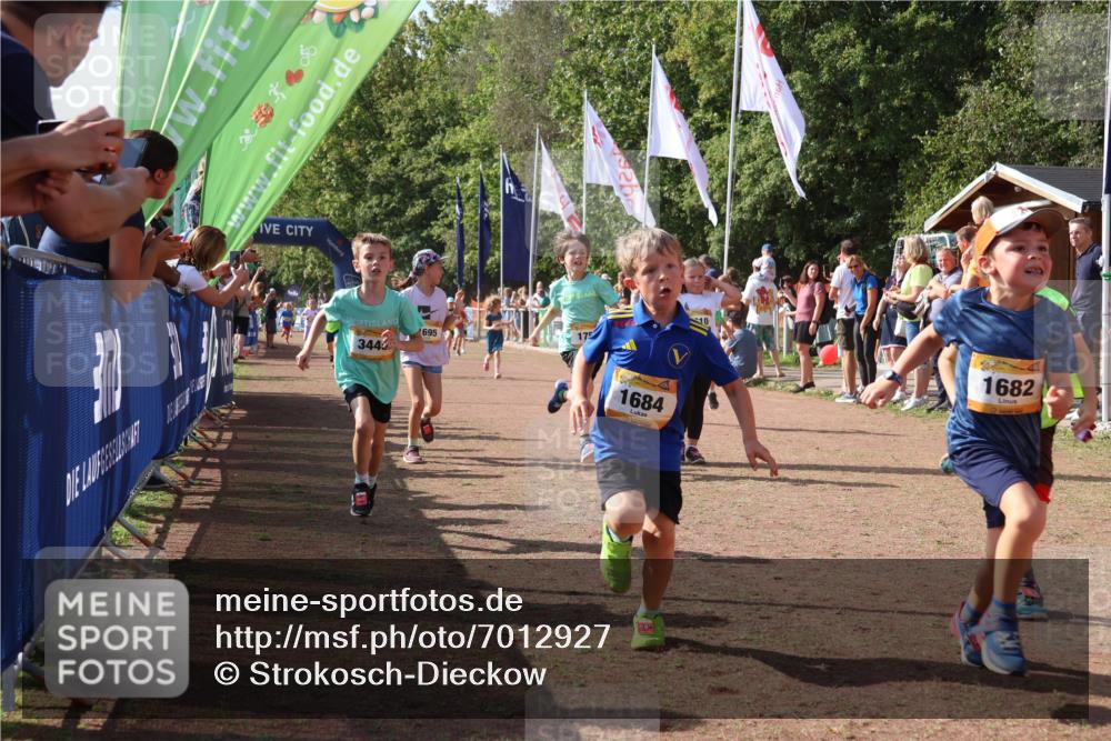 08.09.2024 - Airport Race Strokosch-Dieckow http://msf.ph/oto/7012927 08.09.2024 11:30:25 Ziel 1610, 1661, 1677, 1682, 1684, 1689, 1691, 1695, 1725, 1754, 1756, 1758, 1774, 1794, 1795, 1805, 1816, 1901, 1936, 3424, 3433, 3445, 3449 meine-sportfotos.de