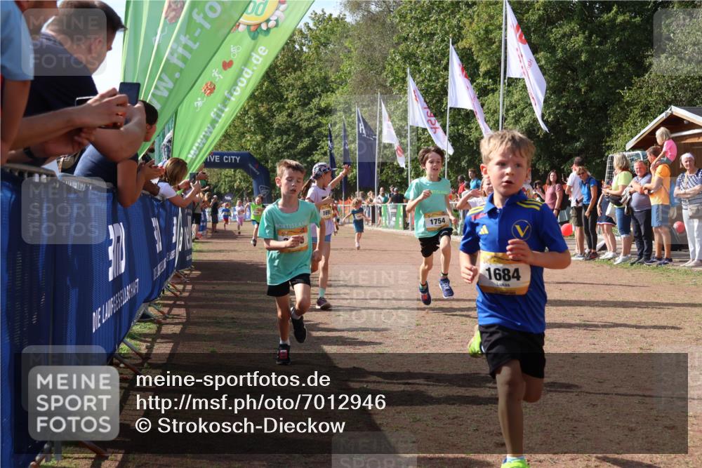 08.09.2024 - Airport Race Strokosch-Dieckow http://msf.ph/oto/7012946 08.09.2024 11:30:26 Ziel 1610, 1661, 1677, 1679, 1682, 1684, 1689, 1691, 1695, 1725, 1737, 1754, 1756, 1758, 1774, 1794, 1795, 1805, 1816, 1901, 1936, 3424, 3433, 3445, 3449 meine-sportfotos.de