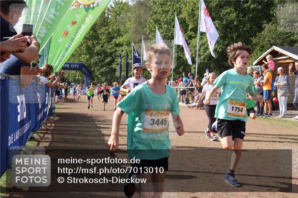 08.09.2024 - Airport Race Strokosch-Dieckow http://msf.ph/oto/7013010 08.09.2024 11:30:26 Ziel 1610, 1661, 1677, 1679, 1682, 1684, 1689, 1691, 1695, 1725, 1737, 1754, 1756, 1758, 1774, 1794, 1795, 1805, 1816, 1901, 1936, 3424, 3433, 3445, 3449 meine-sportfotos.de