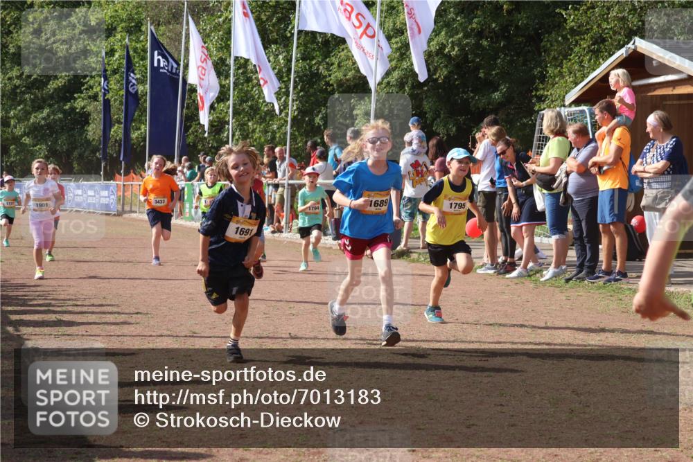 08.09.2024 - Airport Race Strokosch-Dieckow http://msf.ph/oto/7013183 08.09.2024 11:30:31 Ziel 1610, 1661, 1663, 1679, 1689, 1691, 1725, 1737, 1756, 1758, 1774, 1794, 1795, 1901, 3433 meine-sportfotos.de