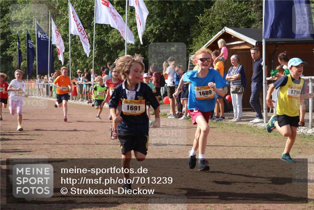 08.09.2024 - Airport Race Strokosch-Dieckow http://msf.ph/oto/7013239 08.09.2024 11:30:31 Ziel 1610, 1661, 1663, 1679, 1689, 1691, 1725, 1737, 1756, 1758, 1774, 1794, 1795, 1901, 3433 meine-sportfotos.de