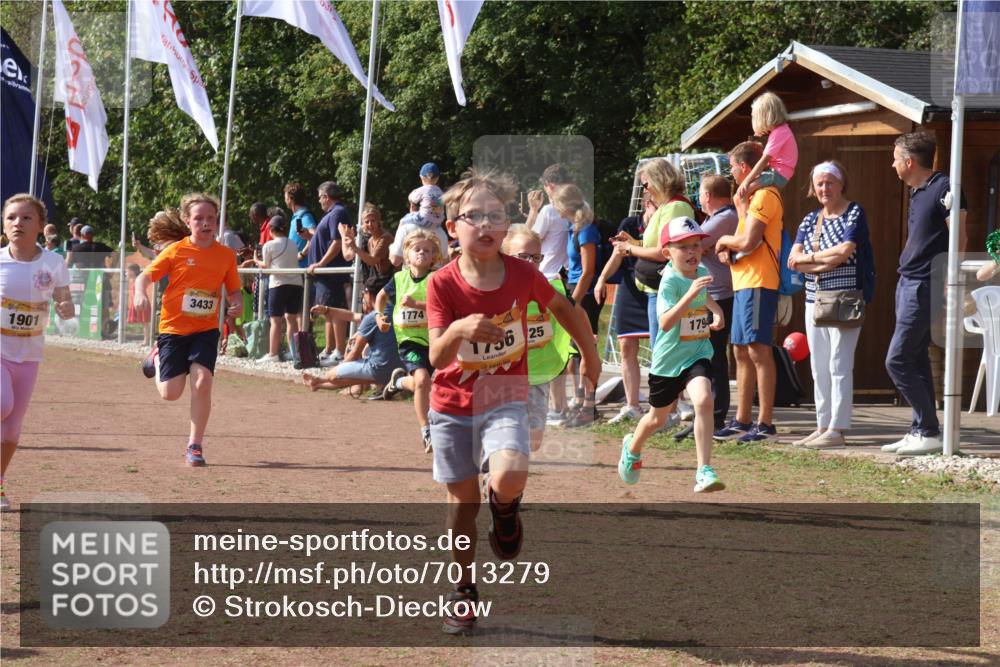 08.09.2024 - Airport Race Strokosch-Dieckow http://msf.ph/oto/7013279 08.09.2024 11:30:32 Ziel 1610, 1661, 1663, 1679, 1689, 1691, 1725, 1737, 1756, 1758, 1774, 1794, 1795, 1901, 3433 meine-sportfotos.de