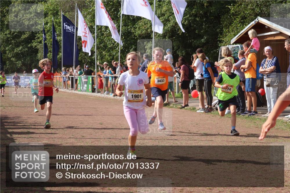 08.09.2024 - Airport Race Strokosch-Dieckow http://msf.ph/oto/7013337 08.09.2024 11:30:33 Ziel 1610, 1663, 1679, 1689, 1691, 1725, 1737, 1756, 1774, 1788, 1794, 1795, 1901, 3433 meine-sportfotos.de