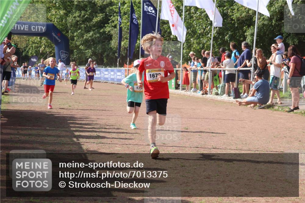 08.09.2024 - Airport Race Strokosch-Dieckow http://msf.ph/oto/7013375 08.09.2024 11:30:34 Ziel 1610, 1663, 1679, 1689, 1691, 1725, 1737, 1756, 1774, 1788, 1794, 1901, 3433, 3438 meine-sportfotos.de