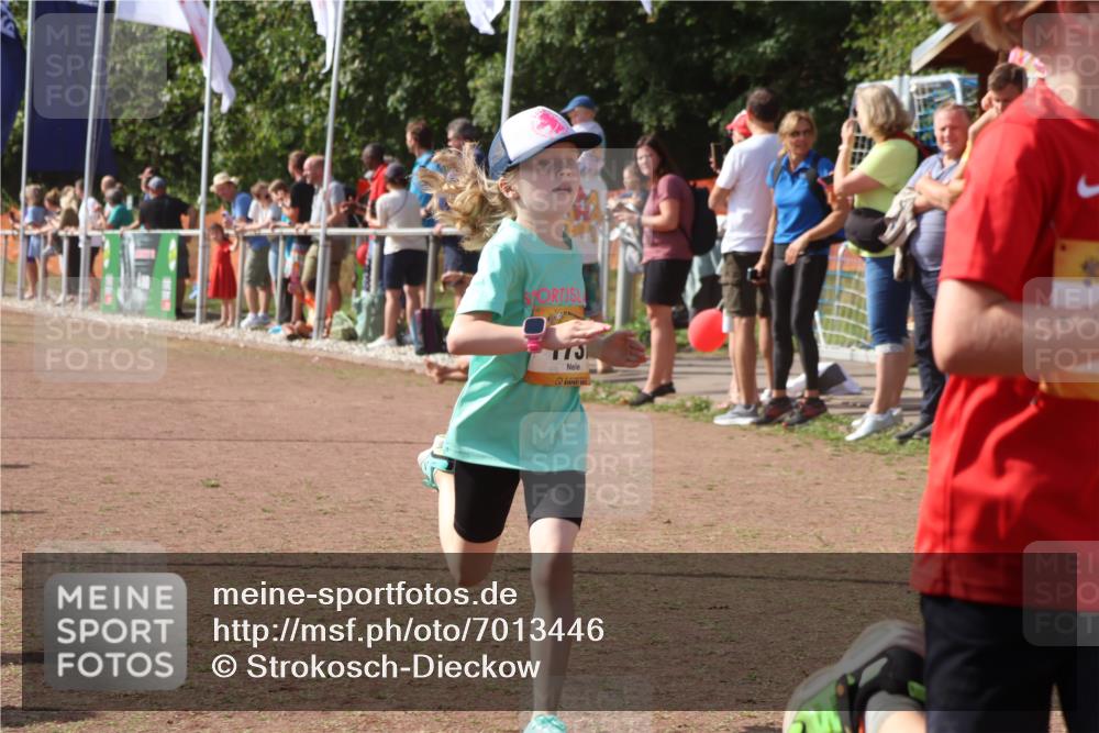 08.09.2024 - Airport Race Strokosch-Dieckow http://msf.ph/oto/7013446 08.09.2024 11:30:36 Ziel 1631, 1663, 1679, 1705, 1737, 1774, 1788, 1794, 1801, 1901, 3433, 3438 meine-sportfotos.de