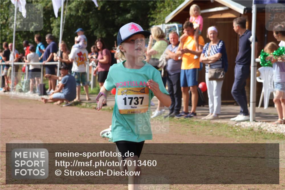 08.09.2024 - Airport Race Strokosch-Dieckow http://msf.ph/oto/7013460 08.09.2024 11:30:36 Ziel 1631, 1663, 1679, 1705, 1737, 1774, 1788, 1794, 1801, 1901, 3433, 3438 meine-sportfotos.de