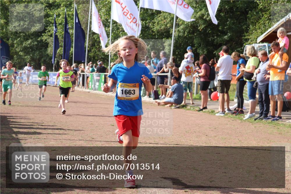 08.09.2024 - Airport Race Strokosch-Dieckow http://msf.ph/oto/7013514 08.09.2024 11:30:39 Ziel 1631, 1663, 1705, 1715, 1729, 1788, 1801, 3438 meine-sportfotos.de