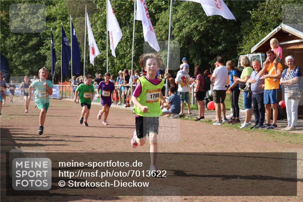 08.09.2024 - Airport Race Strokosch-Dieckow http://msf.ph/oto/7013622 08.09.2024 11:30:42 Ziel 1631, 1663, 1705, 1715, 1718, 1729, 1788, 1801, 3438 meine-sportfotos.de