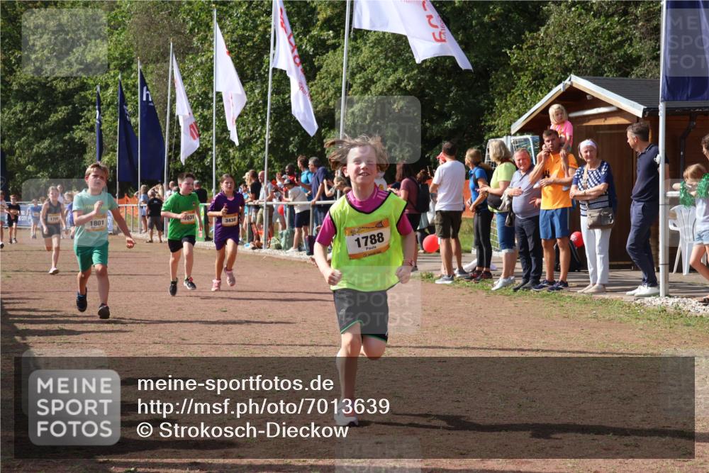 08.09.2024 - Airport Race Strokosch-Dieckow http://msf.ph/oto/7013639 08.09.2024 11:30:42 Ziel 1631, 1663, 1705, 1715, 1718, 1729, 1788, 1801, 3438 meine-sportfotos.de