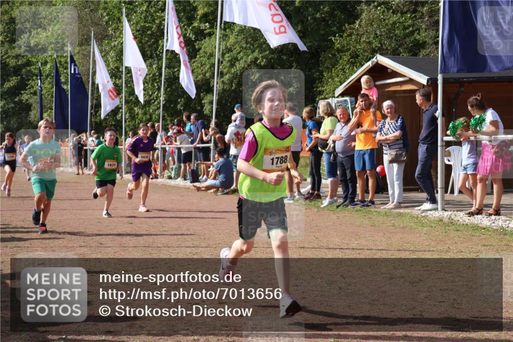 08.09.2024 - Airport Race Strokosch-Dieckow http://msf.ph/oto/7013656 08.09.2024 11:30:42 Ziel 1631, 1663, 1705, 1715, 1718, 1729, 1788, 1801, 3438 meine-sportfotos.de