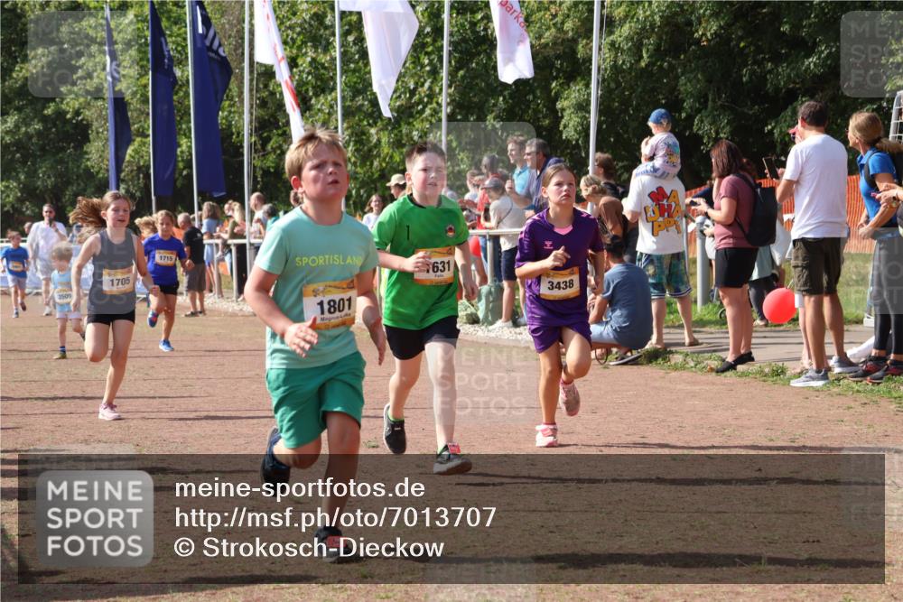 08.09.2024 - Airport Race Strokosch-Dieckow http://msf.ph/oto/7013707 08.09.2024 11:30:43 Ziel 1631, 1705, 1715, 1718, 1729, 1788, 1801, 3438 meine-sportfotos.de