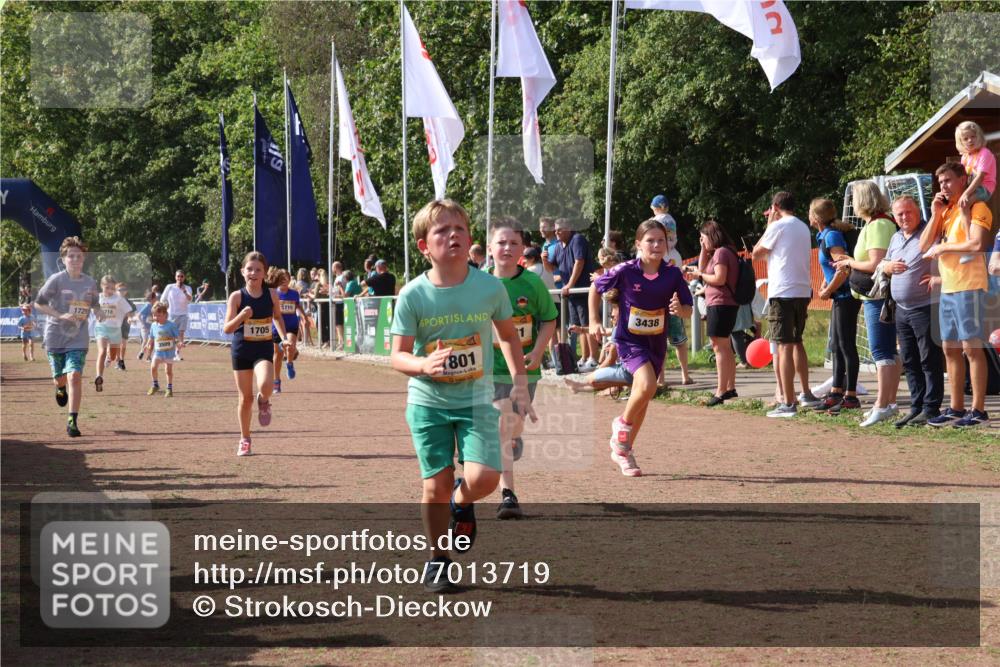 08.09.2024 - Airport Race Strokosch-Dieckow http://msf.ph/oto/7013719 08.09.2024 11:30:44 Ziel 1631, 1705, 1715, 1718, 1729, 1788, 1801, 3438 meine-sportfotos.de