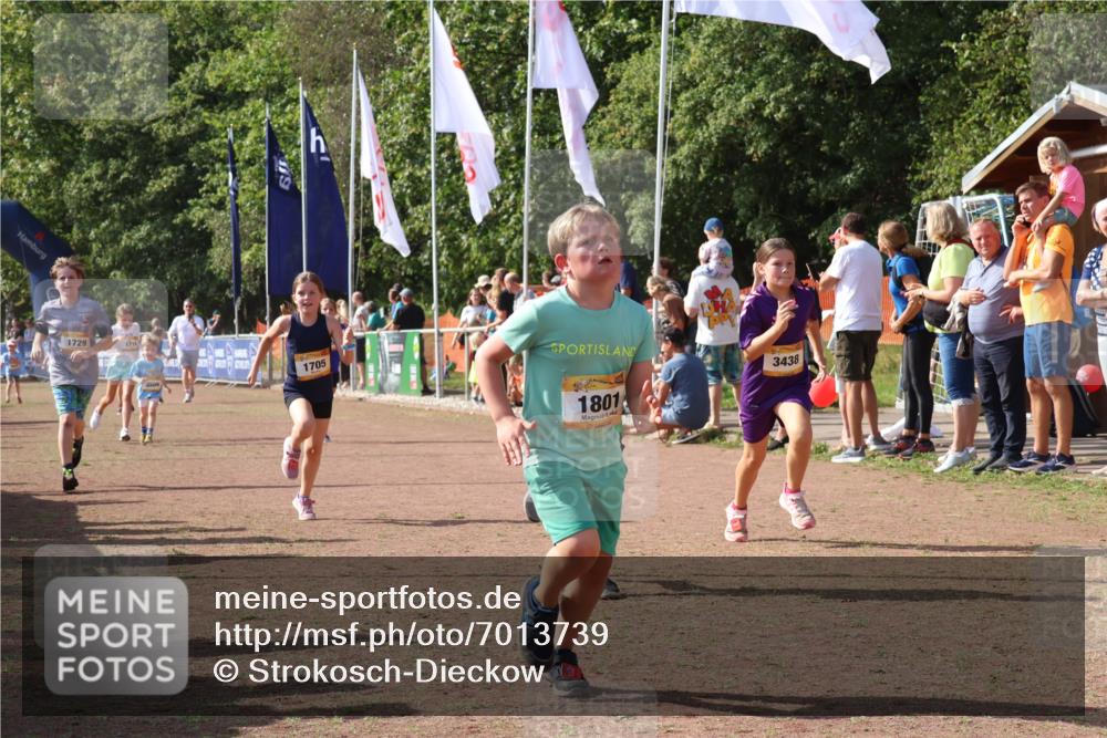 08.09.2024 - Airport Race Strokosch-Dieckow http://msf.ph/oto/7013739 08.09.2024 11:30:44 Ziel 1631, 1705, 1715, 1718, 1729, 1788, 1801, 3438 meine-sportfotos.de