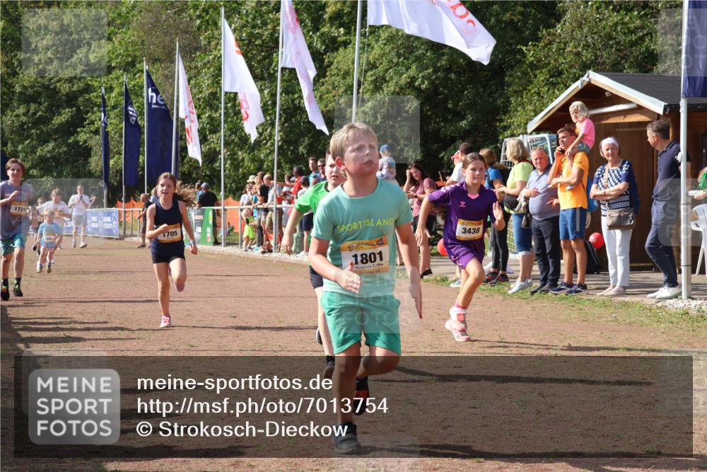 08.09.2024 - Airport Race Strokosch-Dieckow http://msf.ph/oto/7013754 08.09.2024 11:30:44 Ziel 1631, 1705, 1715, 1718, 1729, 1788, 1801, 3438 meine-sportfotos.de
