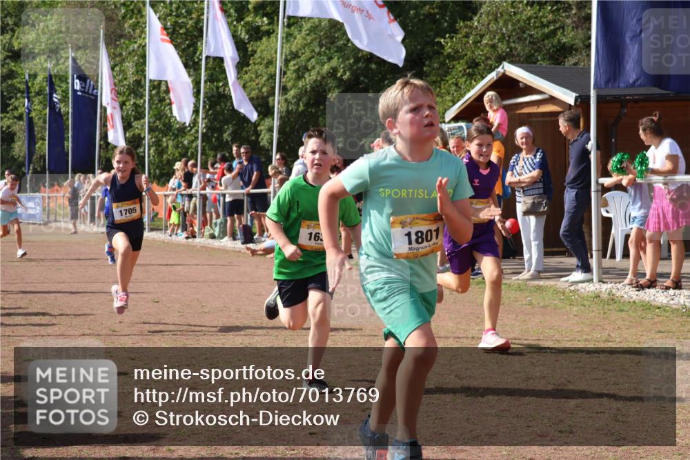 08.09.2024 - Airport Race Strokosch-Dieckow http://msf.ph/oto/7013769 08.09.2024 11:30:45 Ziel 1631, 1705, 1715, 1718, 1729, 1788, 1801, 1908, 3438 meine-sportfotos.de