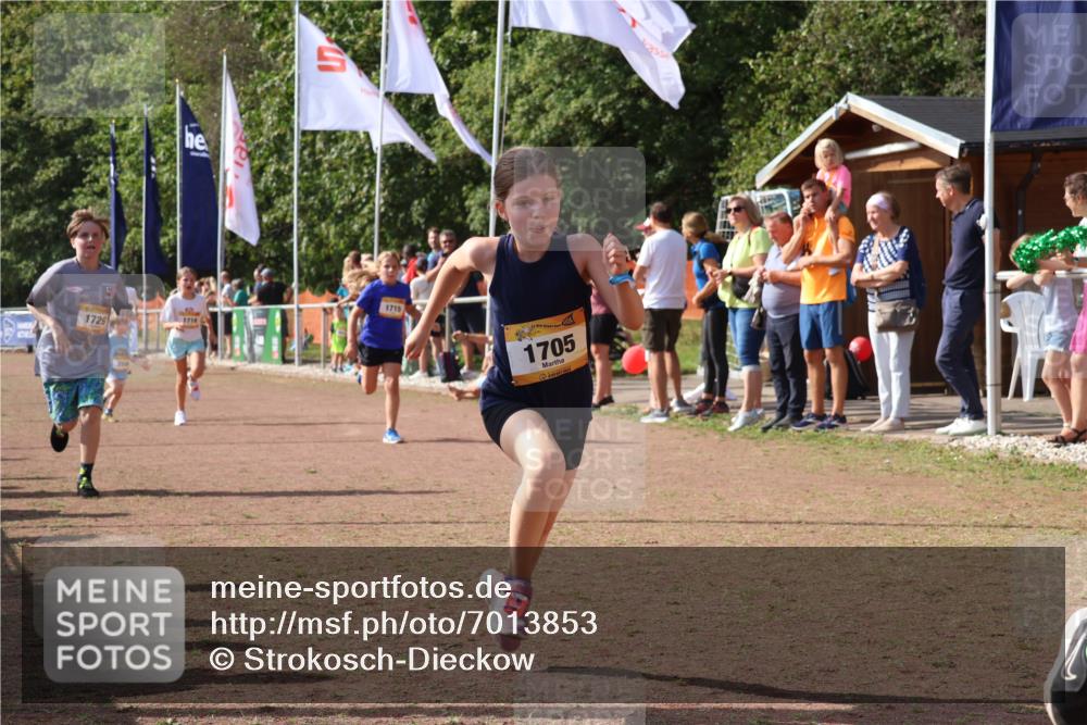 08.09.2024 - Airport Race Strokosch-Dieckow http://msf.ph/oto/7013853 08.09.2024 11:30:46 Ziel 1631, 1705, 1715, 1718, 1729, 1801, 1908, 3438 meine-sportfotos.de