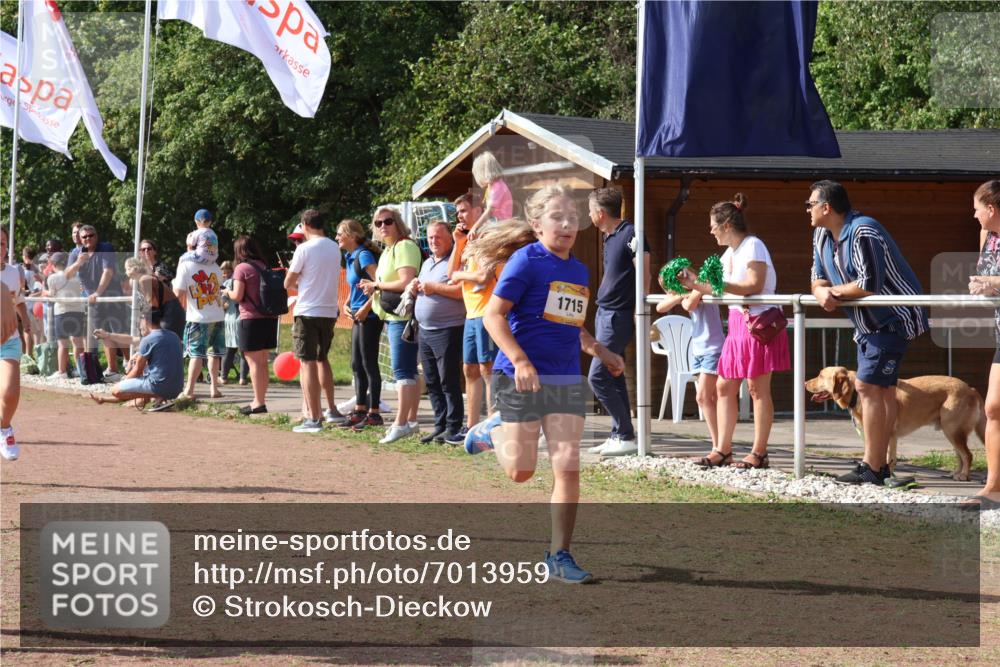 08.09.2024 - Airport Race Strokosch-Dieckow http://msf.ph/oto/7013959 08.09.2024 11:30:48 Ziel 1715, 1718, 1729, 1764, 1908, 1915, 3401 meine-sportfotos.de
