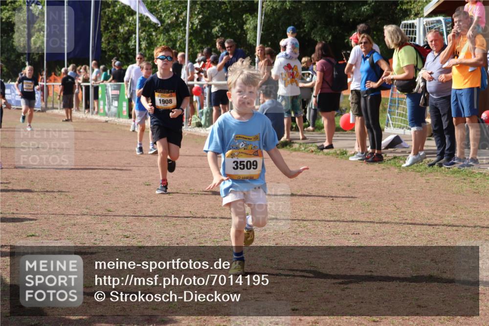 08.09.2024 - Airport Race Strokosch-Dieckow http://msf.ph/oto/7014195 08.09.2024 11:30:52 Ziel 1718, 1764, 1767, 1870, 1908, 1915, 3401 meine-sportfotos.de