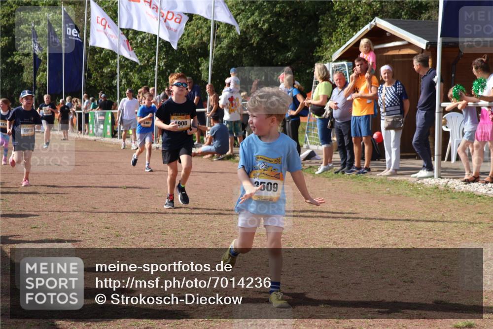 08.09.2024 - Airport Race Strokosch-Dieckow http://msf.ph/oto/7014236 08.09.2024 11:30:52 Ziel 1718, 1764, 1767, 1870, 1908, 1915, 3401 meine-sportfotos.de