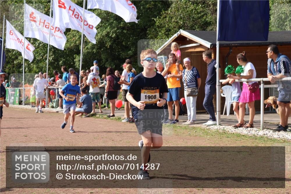 08.09.2024 - Airport Race Strokosch-Dieckow http://msf.ph/oto/7014287 08.09.2024 11:30:54 Ziel 1671, 1764, 1767, 1870, 1908, 1915, 3401 meine-sportfotos.de