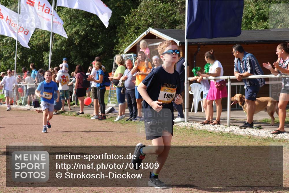 08.09.2024 - Airport Race Strokosch-Dieckow http://msf.ph/oto/7014309 08.09.2024 11:30:54 Ziel 1671, 1764, 1767, 1870, 1908, 1915, 3401 meine-sportfotos.de