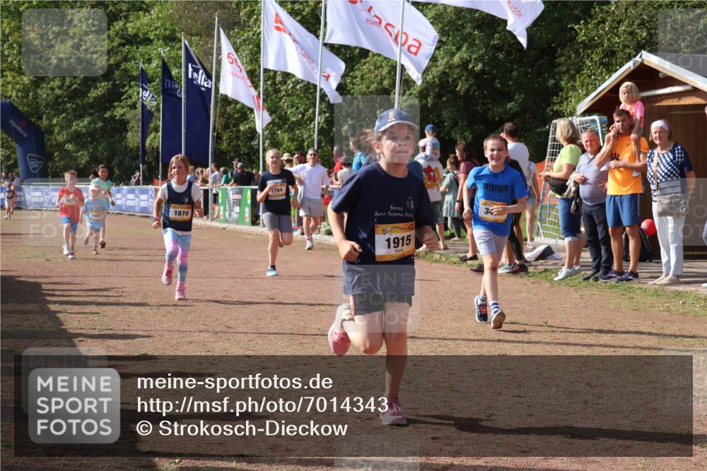 08.09.2024 - Airport Race Strokosch-Dieckow http://msf.ph/oto/7014343 08.09.2024 11:30:55 Ziel 1671, 1764, 1767, 1870, 1908, 1915, 3401 meine-sportfotos.de