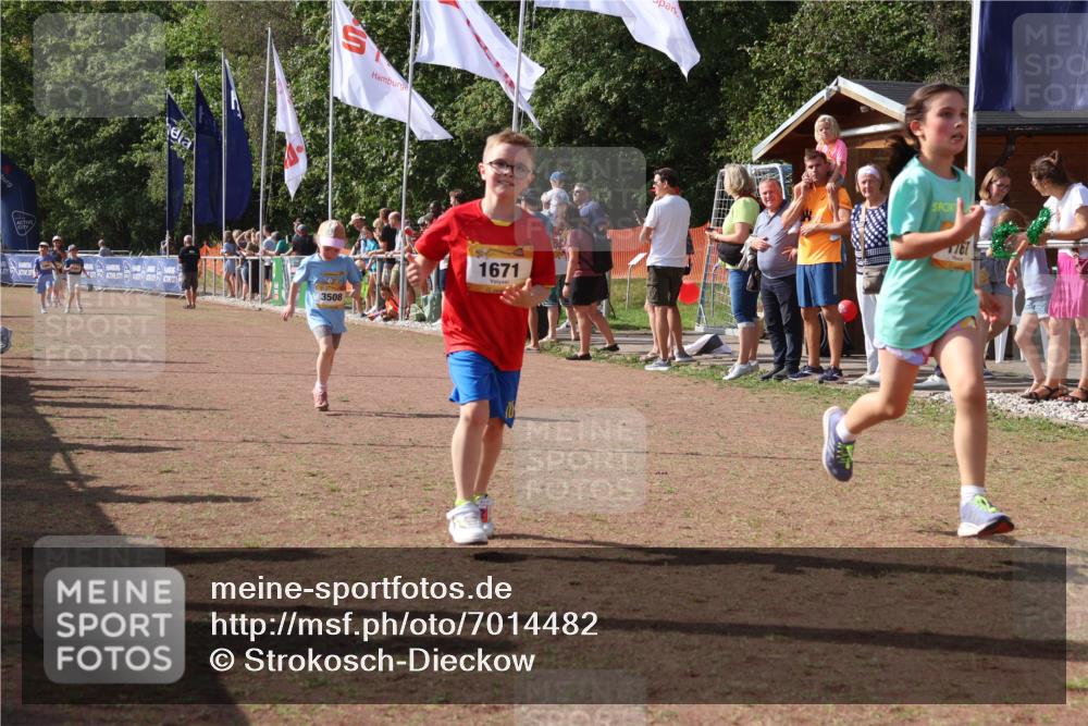 08.09.2024 - Airport Race Strokosch-Dieckow http://msf.ph/oto/7014482 08.09.2024 11:31:00 Ziel 1671, 1680, 1683, 1764, 1767, 1850, 1870, 3401 meine-sportfotos.de