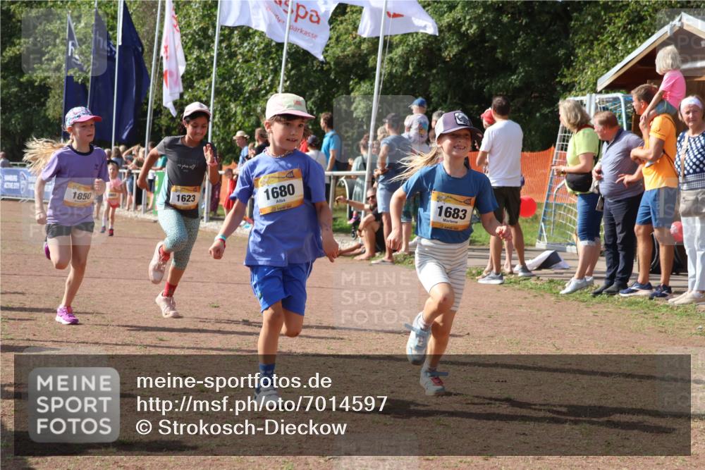 08.09.2024 - Airport Race Strokosch-Dieckow http://msf.ph/oto/7014597 08.09.2024 11:31:08 Ziel 1623, 1680, 1683, 1692, 1850 meine-sportfotos.de