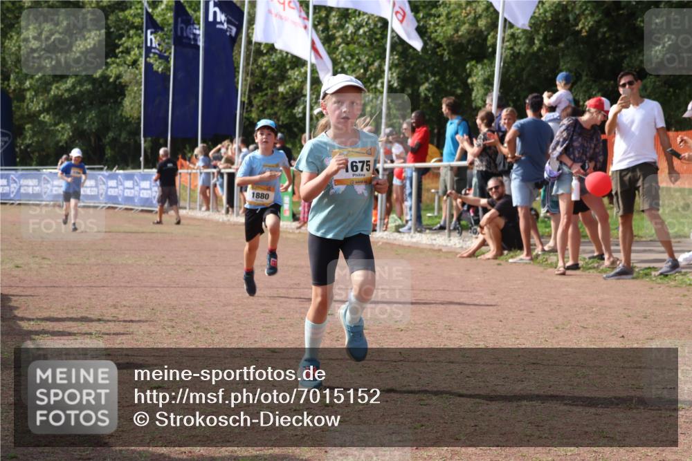 08.09.2024 - Airport Race Strokosch-Dieckow http://msf.ph/oto/7015152 08.09.2024 11:31:40 Ziel 1603, 1675, 1880, 3418, 3441 meine-sportfotos.de
