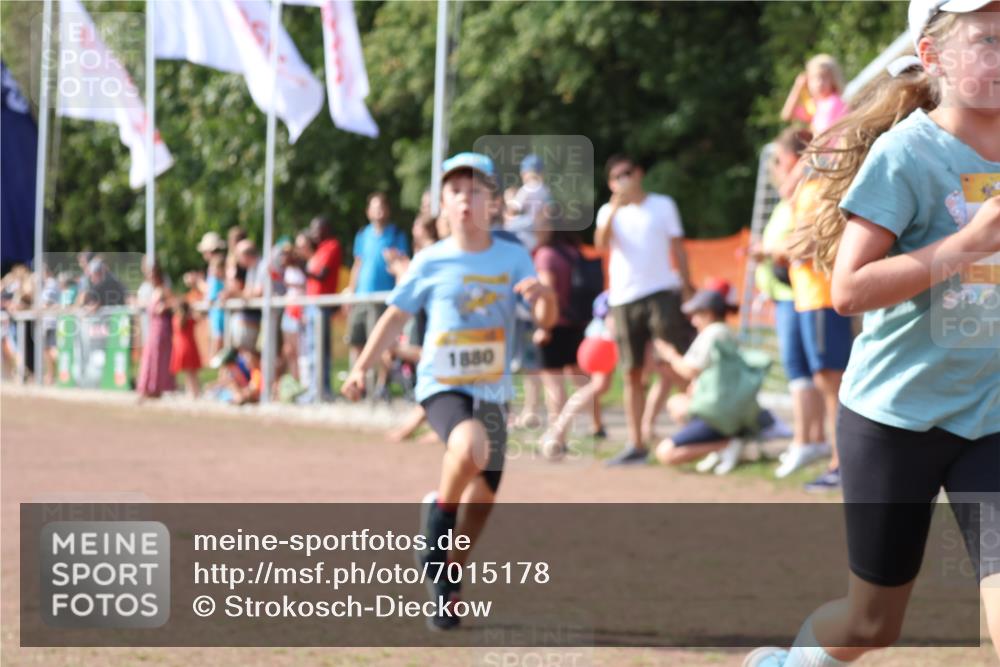 08.09.2024 - Airport Race Strokosch-Dieckow http://msf.ph/oto/7015178 08.09.2024 11:31:42 Ziel 1603, 1675, 1700, 1880 meine-sportfotos.de