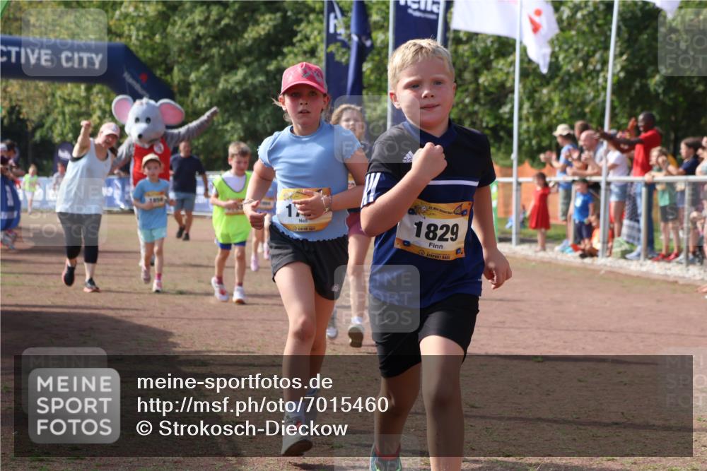 08.09.2024 - Airport Race Strokosch-Dieckow http://msf.ph/oto/7015460 08.09.2024 11:31:57 Ziel 1664, 1666, 1704, 1708, 1733, 1803, 1829, 1856, 3413 meine-sportfotos.de